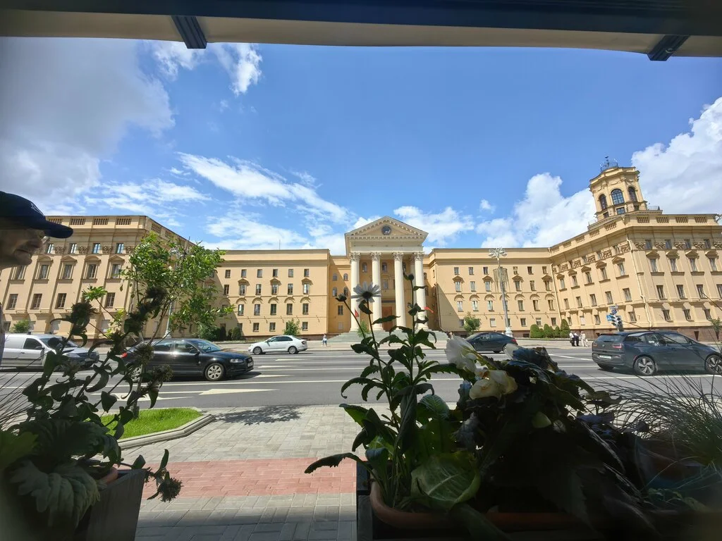 Васильки